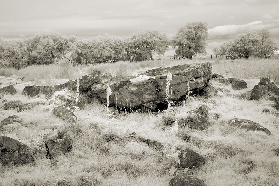 Shesknan Court Tomb image in Black and White