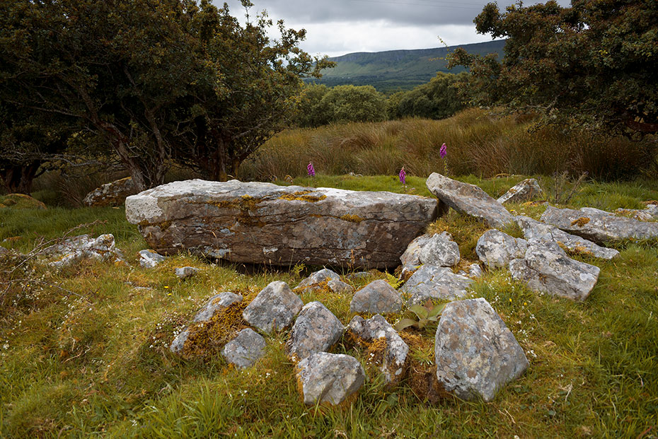 Shesknan Court Tomb image in Black and White